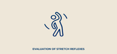 evaluation of stretch reflexes